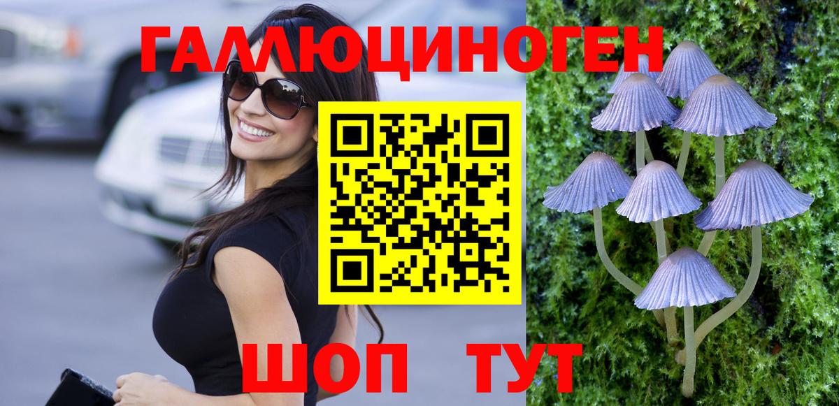 Сафоново  Псилоцибиновые грибы MAGIC MUSHROOMS  Вход с VPN  наркошоп  Псилоцибиновые грибы мицелий 