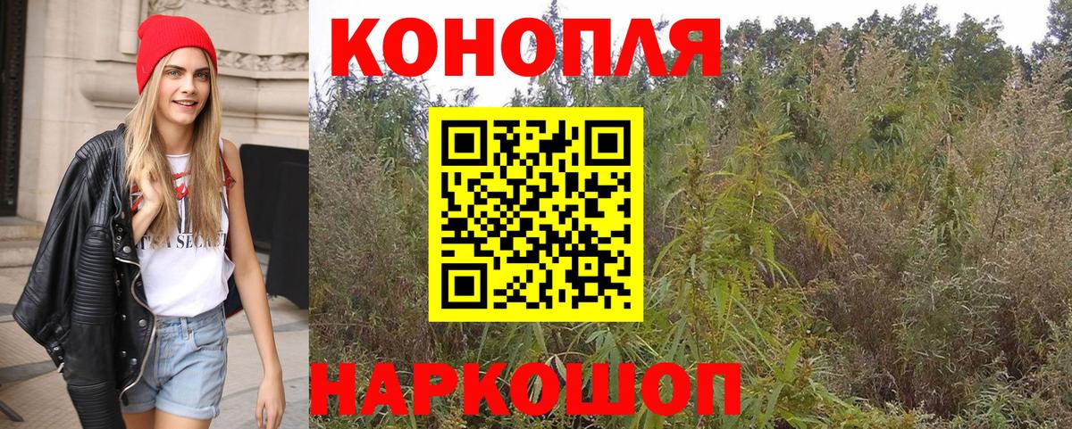 Конопля семена Сафоново